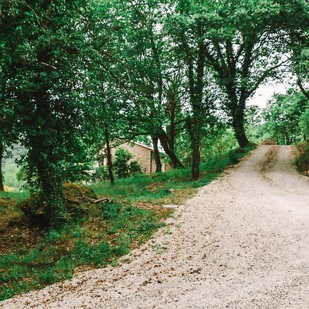 Parulia Country House Arezzo Bagian luar foto