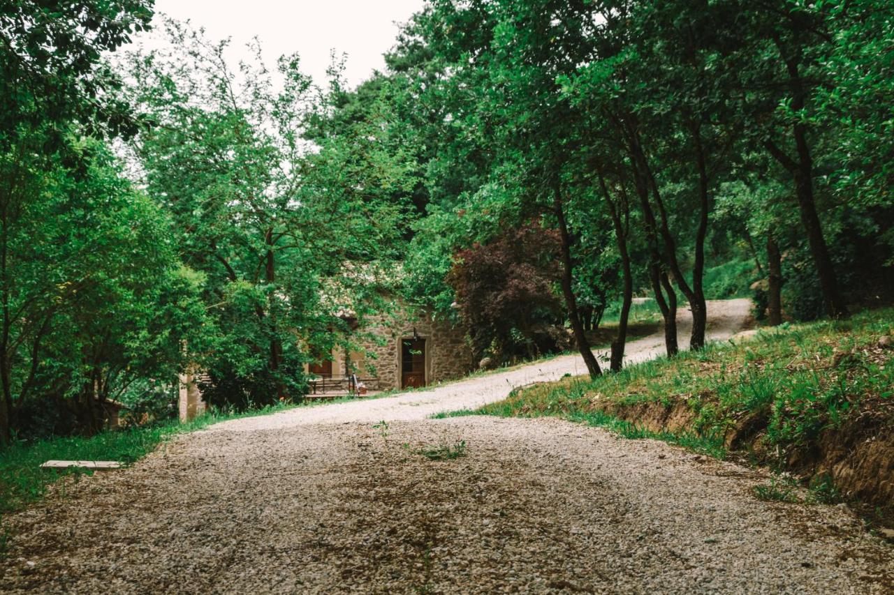 Parulia Country House Arezzo Bagian luar foto