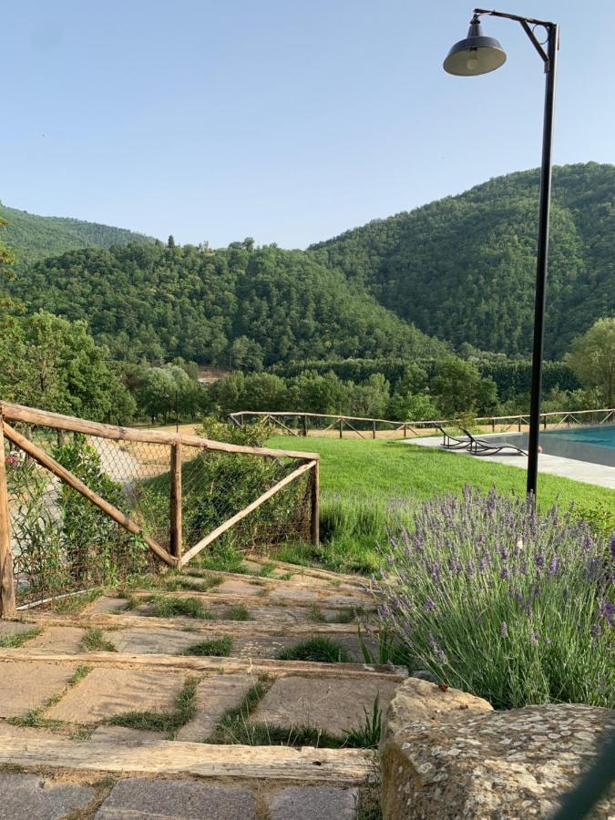 Parulia Country House Arezzo Bagian luar foto