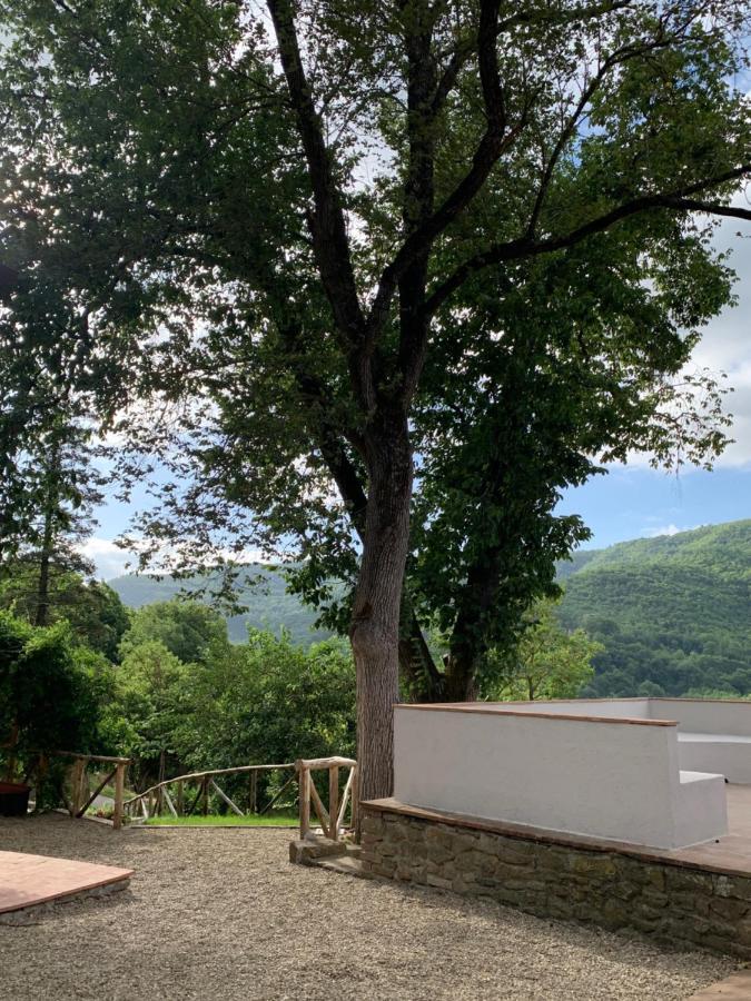 Parulia Country House Arezzo Bagian luar foto